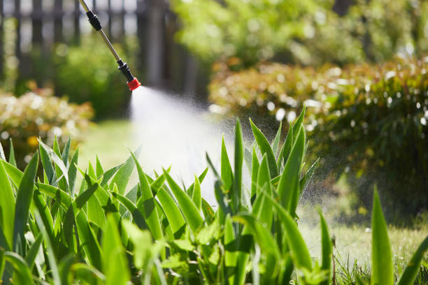 24/7 Emergency Wasp Removal experts in Tracy, MN